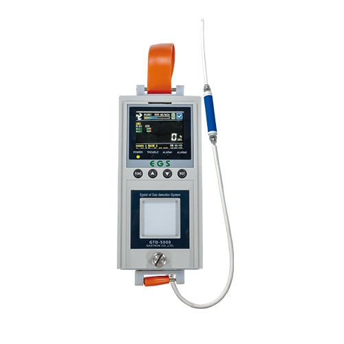 GTD-5000 Portable gas detector